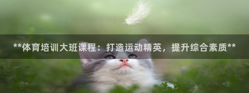 焦点娱乐招商注册 知乎：**体育培训大班课程：打造运