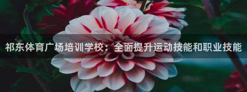 焦点娱乐平台怎么样知乎：祁东体育广场培训学校：全面提