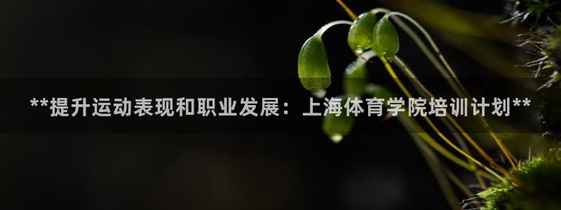 焦点娱乐平台注册账号：**提升运动表现和职业发展：上