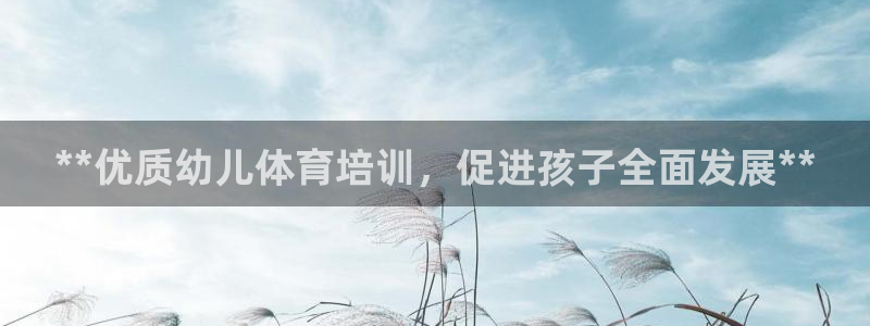 焦点娱乐公司是干嘛的：**优质幼儿体育培训，促进孩子