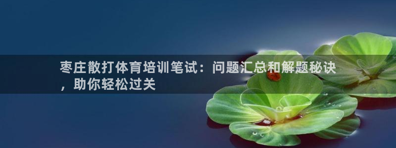 焦点娱乐传媒有限公司怎么样：枣庄散打体育培训笔试：问题汇总和