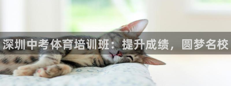 焦点娱乐拉菲11月11日：深圳中考体育培训班：提升成绩，圆梦