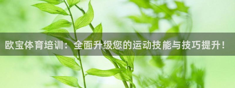 焦点娱乐软件版本区别