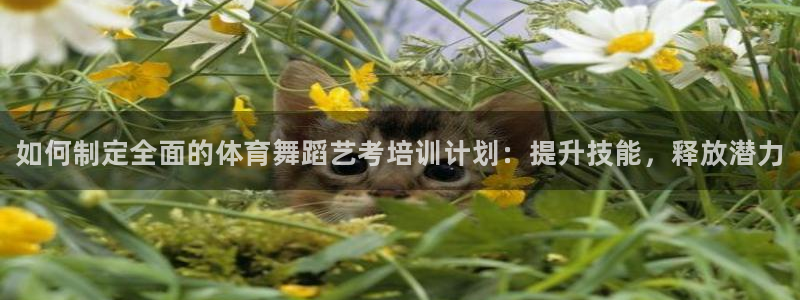 焦点娱乐平台是正规的吗