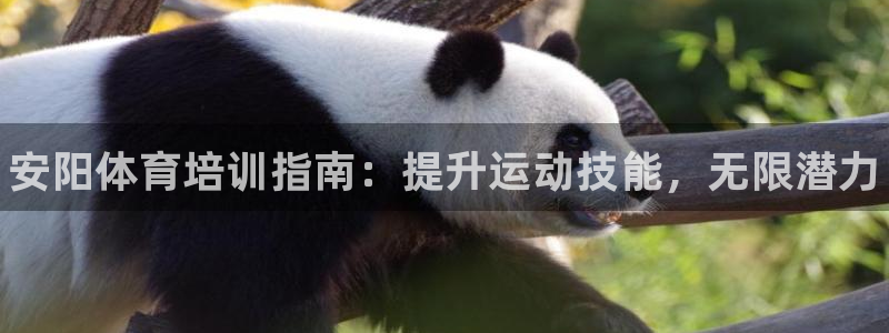 焦点娱乐app下载官网苹果：安阳体育培训指南：提升运动技能，
