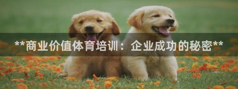 焦点娱乐传媒有限公司官网首页：**商业价值体育培训：