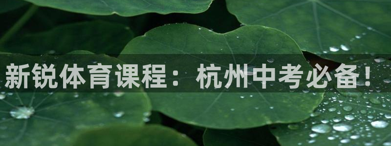 焦点娱乐app下载安装方式