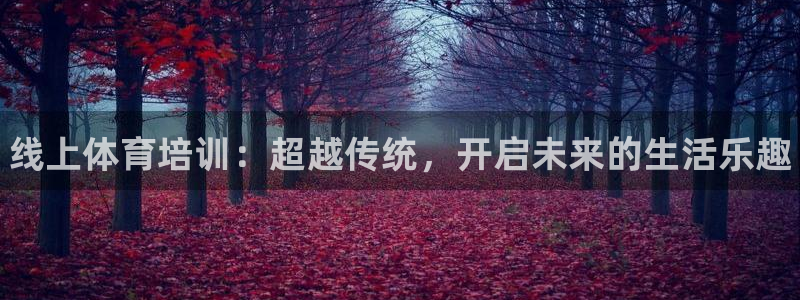 焦点娱乐官网下载安装苹果手机