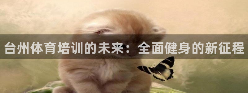 焦点娱乐力 411o31 焦点：台州体育培训的未来：