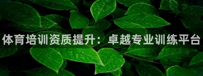 焦点娱乐平台是正规的吗知乎：体育培训资质提升：卓越专业训练平