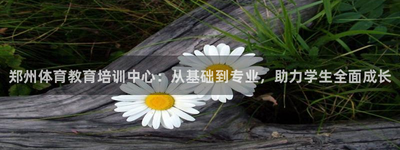 焦点娱乐：郑州体育教育培训中心：从基础到专业，助力学