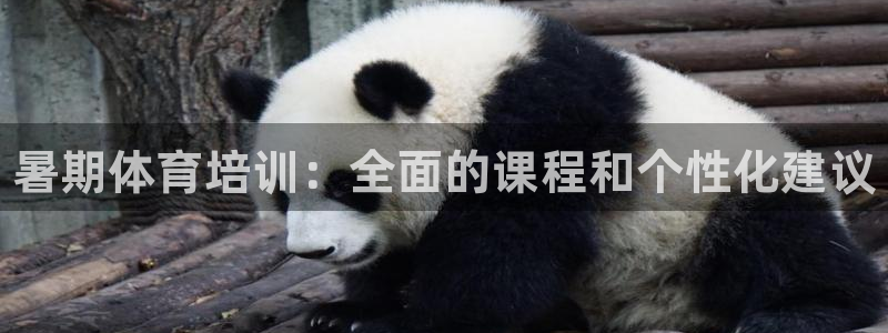 焦点娱乐下载手机版官网：暑期体育培训：全面的课程和个