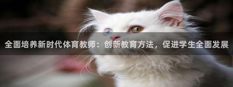 焦点娱乐开发：全面培养新时代体育教师：创新教育方法，促进学生