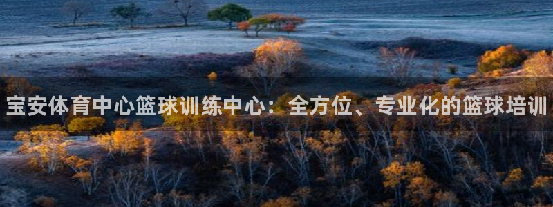 焦点娱乐全国总冠军是谁：宝安体育中心篮球训练中心：全方位、专