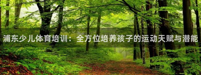 焦点娱乐拉菲11月11日：浦东少儿体育培训：全方位培养孩子的