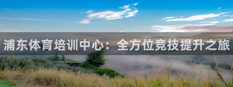 焦点娱乐挂机：浦东体育培训中心：全方位竞技提升之旅