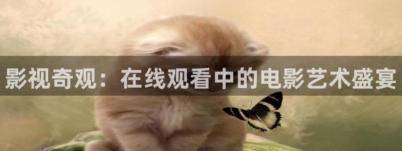 蜂鸟影院免费观看全集