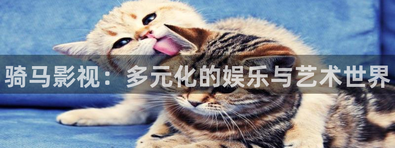 蜂鸟电影在线观看影院