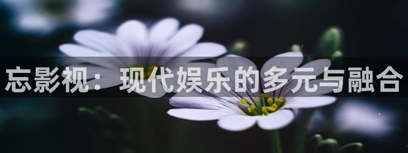 蜂鸟影院在线电影