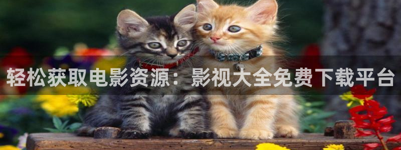 蜂鸟影院高清在线观看