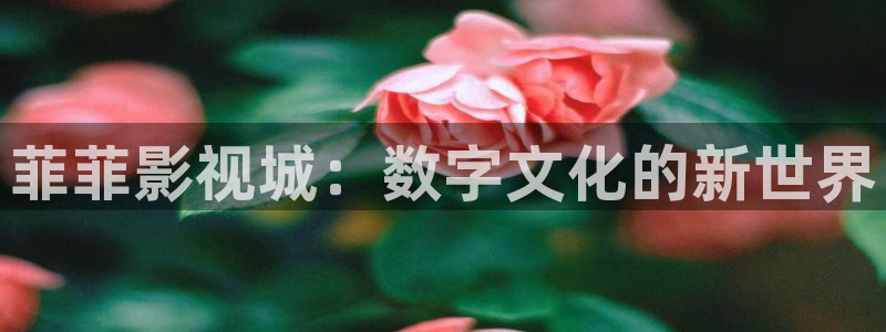 蜂鸟影院在线观看播放