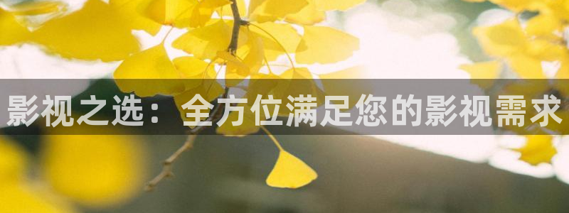 韩国电影蜂鸟影院