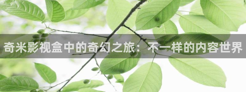 蜂鸟影院大全免费观看