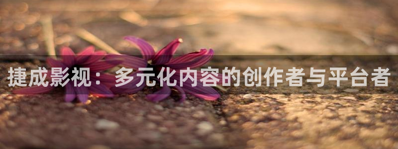 蜂鸟影院韩国