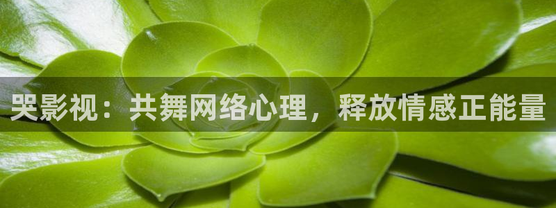 蜂鸟影院在线观看电影
