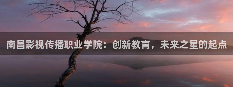 蜂鸟影院在线看