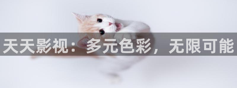 蜂鸟影院在线电影免费