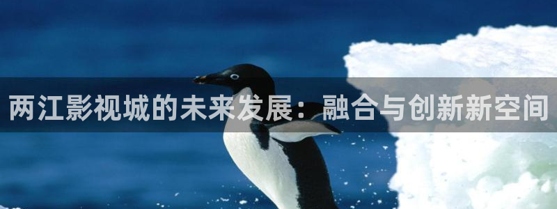 蜂鸟影院在线电影免费