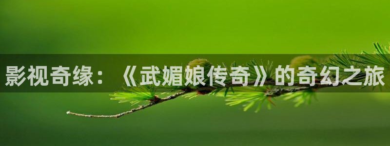 蜂鸟影院影视在线观看